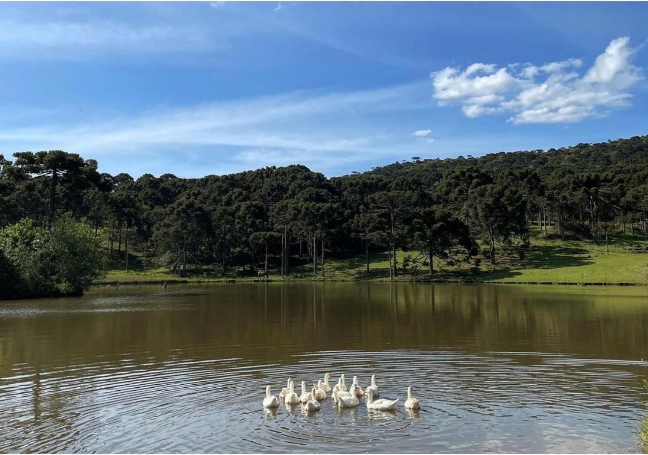 Fazenda Santa Rita Turismo Rural Bom Jardim da Serra Luaran gambar