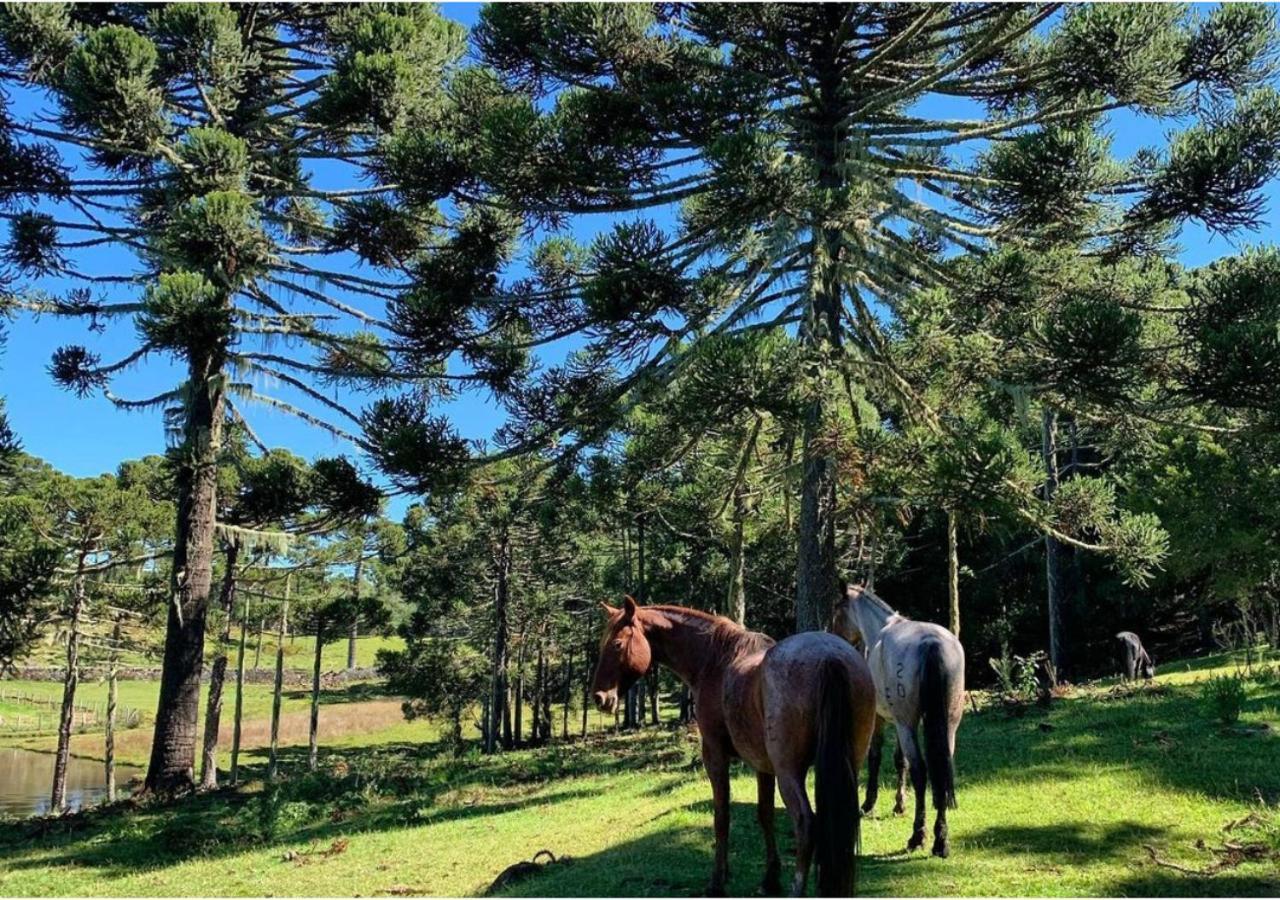 Fazenda Santa Rita Turismo Rural Bom Jardim da Serra Luaran gambar