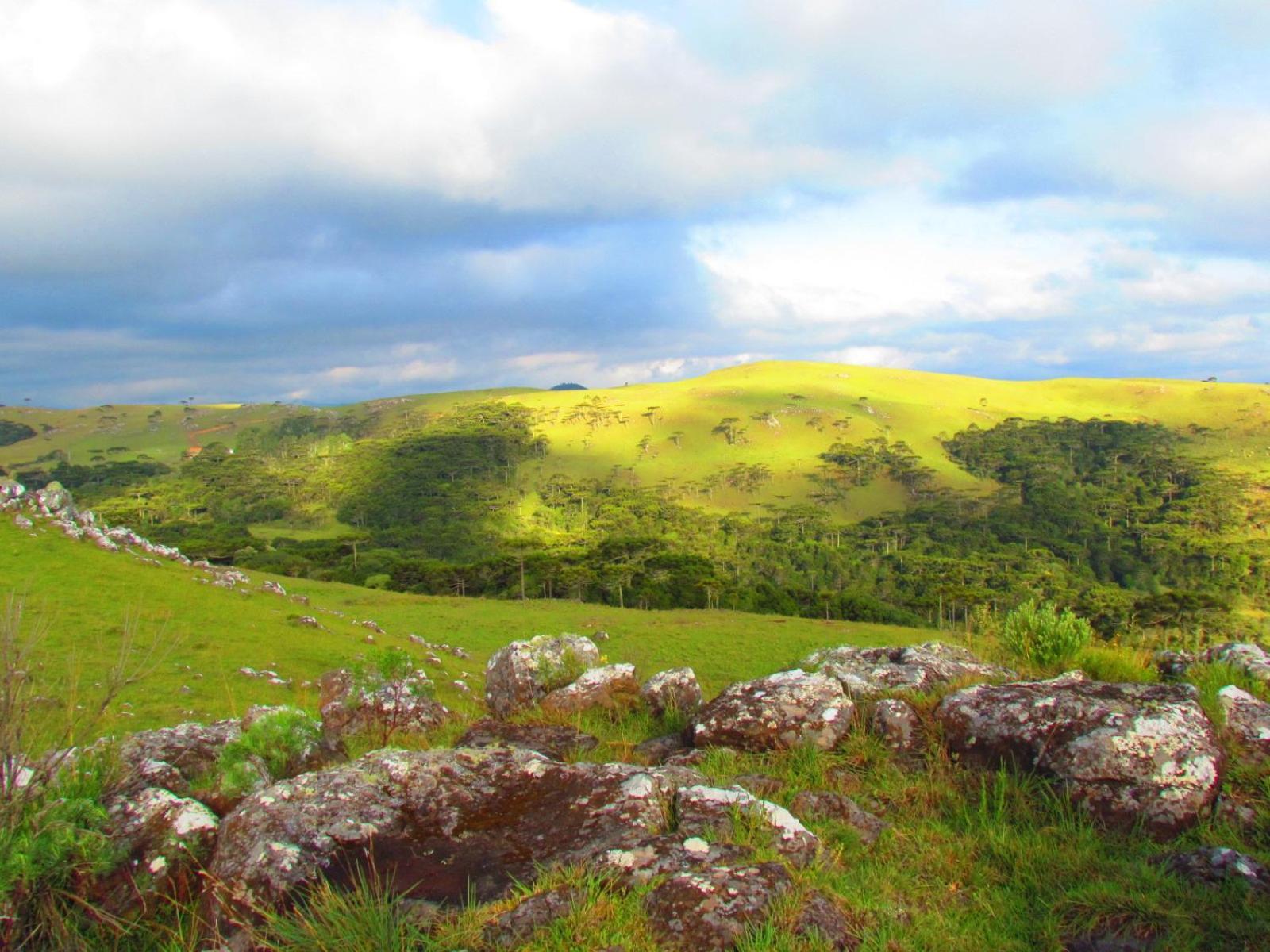 Fazenda Santa Rita Turismo Rural Bom Jardim da Serra Luaran gambar