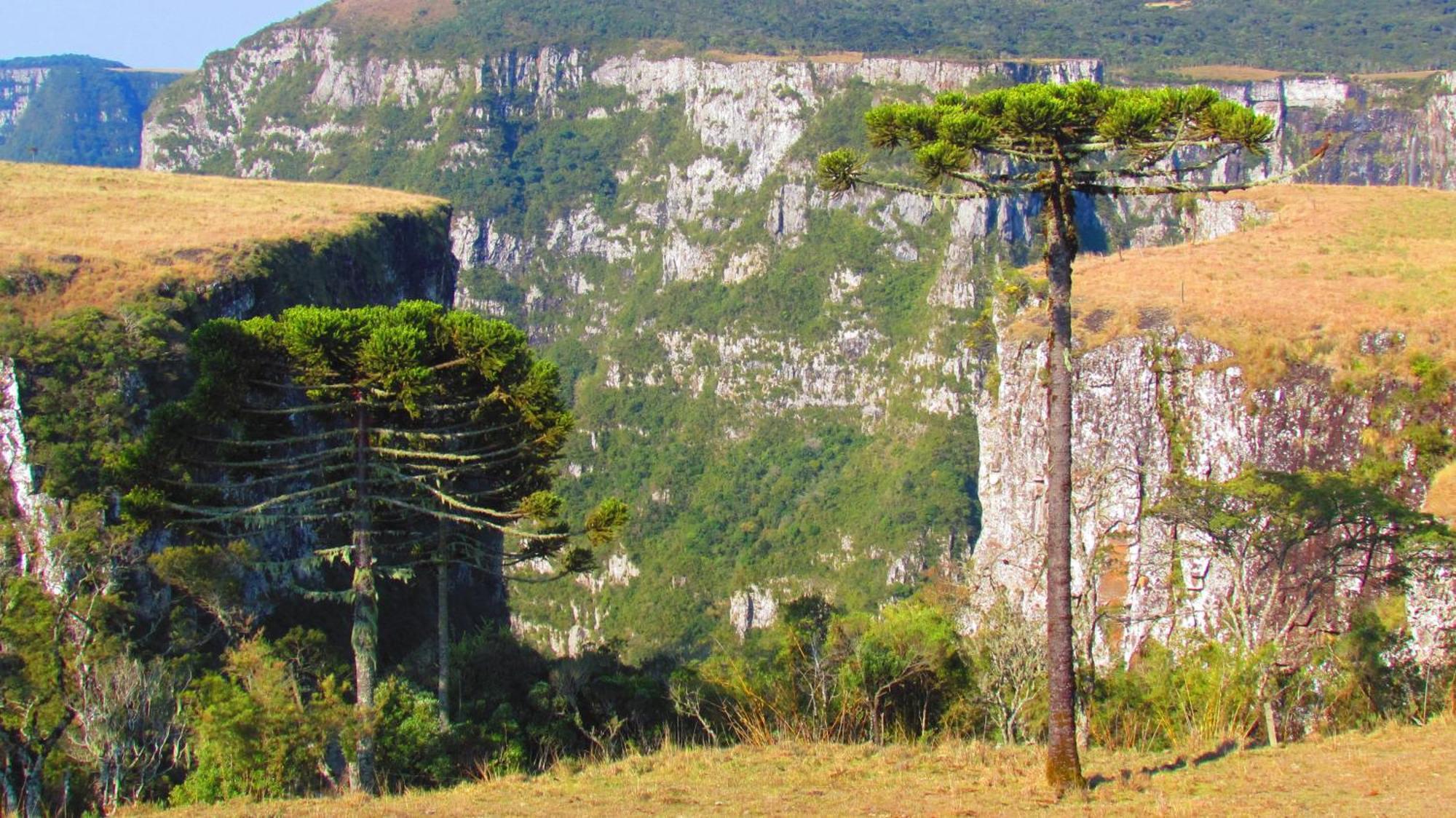 Fazenda Santa Rita Turismo Rural Bom Jardim da Serra Luaran gambar